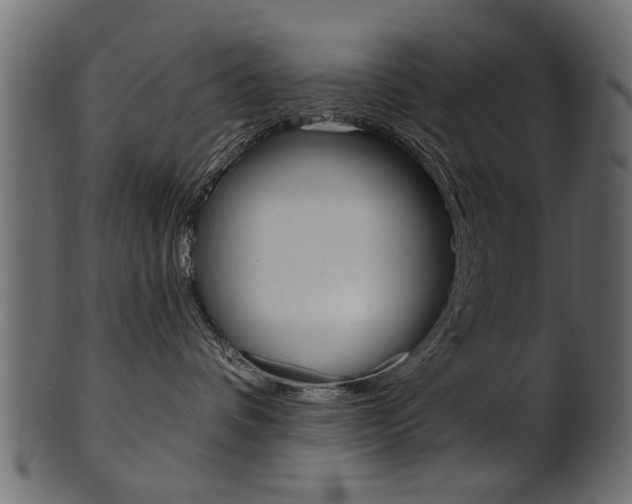 X0000102020336200807180949
