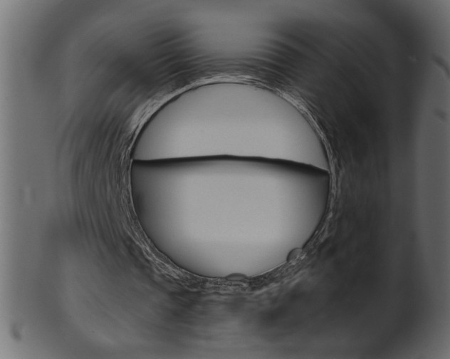 X0000102020337200807180948