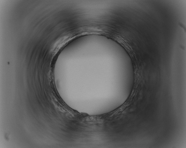 X0000102020338200807180948