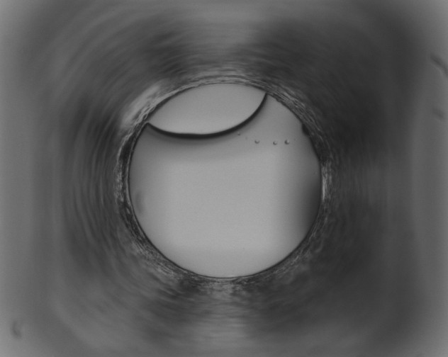 X0000102020339200807180948