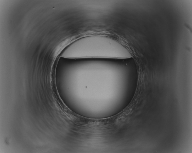 X0000102020340200807180948