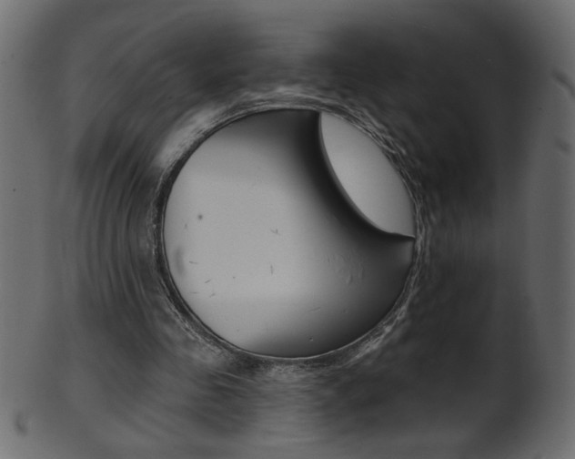 X0000102020341200807180948