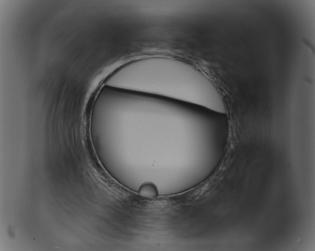 X0000102020342200807180948