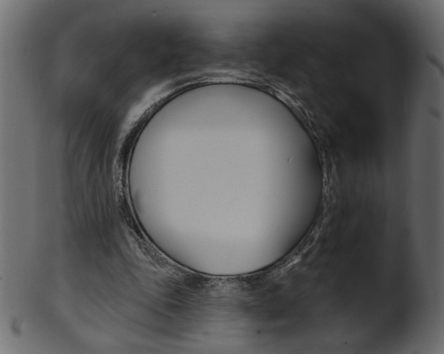X0000102020343200807180948