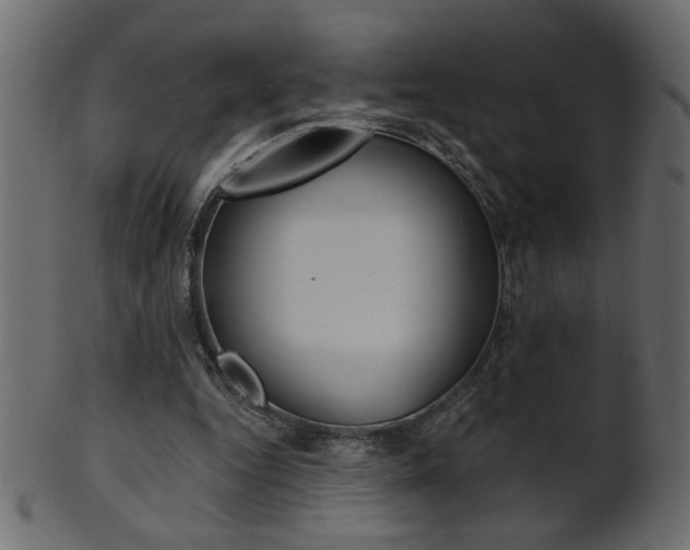 X0000102020344200807180948