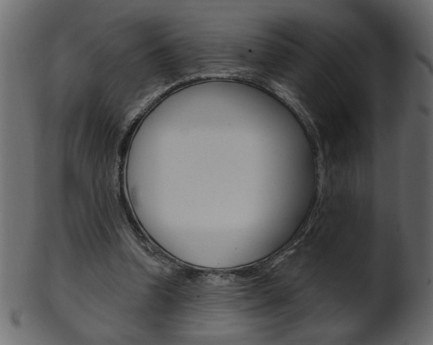 X0000102020346200807180948