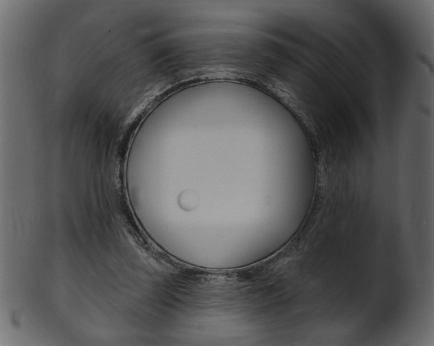X0000102020347200807180948