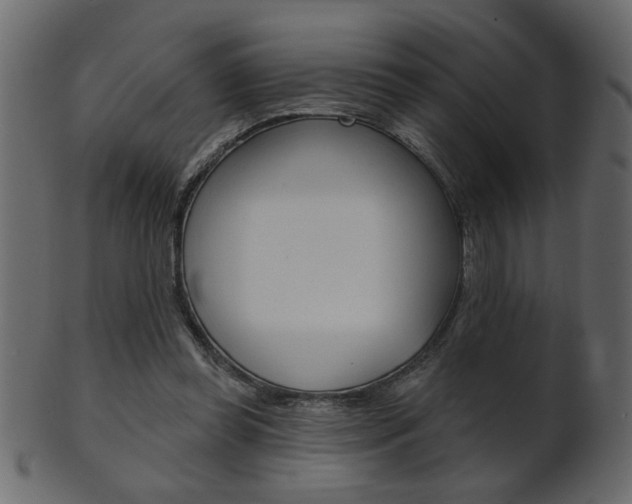 X0000102020349200807180948