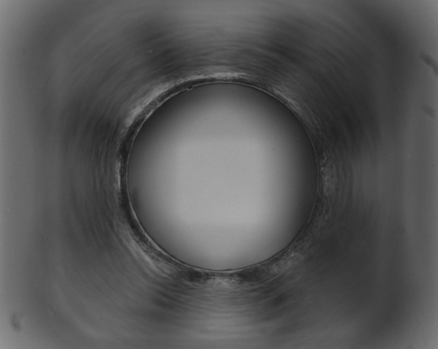 X0000102020350200807180948