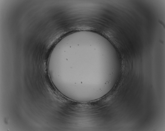 X0000102020351200807180948
