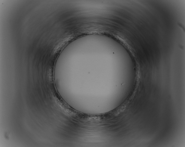 X0000102020353200807180948