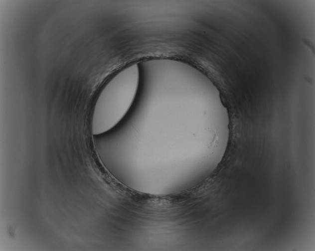 X0000102020354200807180948