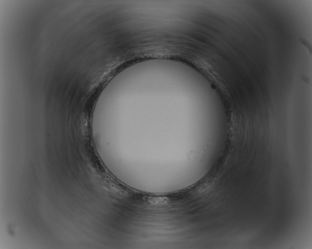 X0000102020355200807180948