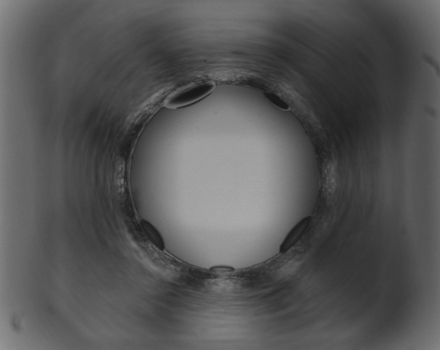 X0000102020356200807180948