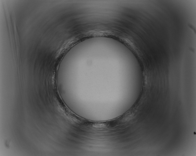 X0000102020357200807180948
