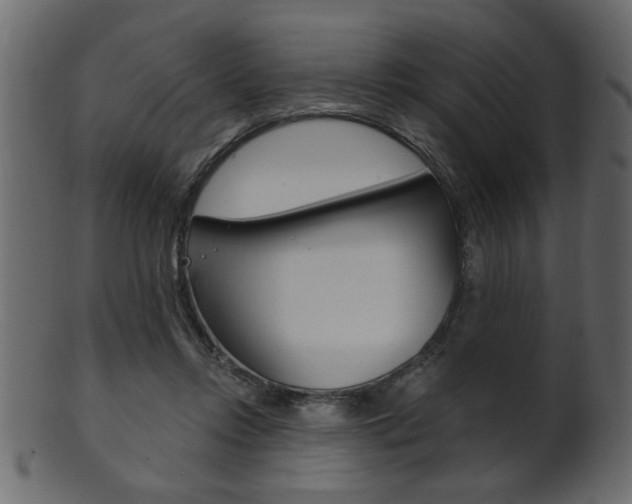 X0000102020358200807180948