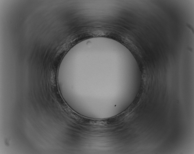 X0000102020359200807180948