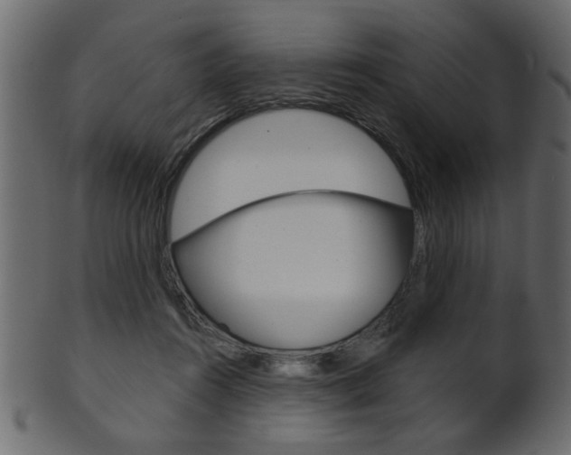 X0000102020360200807180948