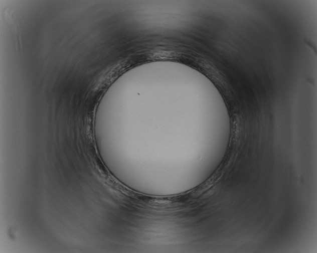 X0000102020361200807180948