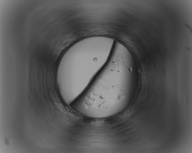 X0000102020362200807180948