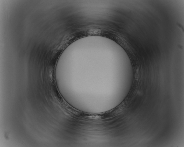 X0000102020363200807180948