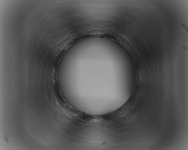 X0000102020364200807180948