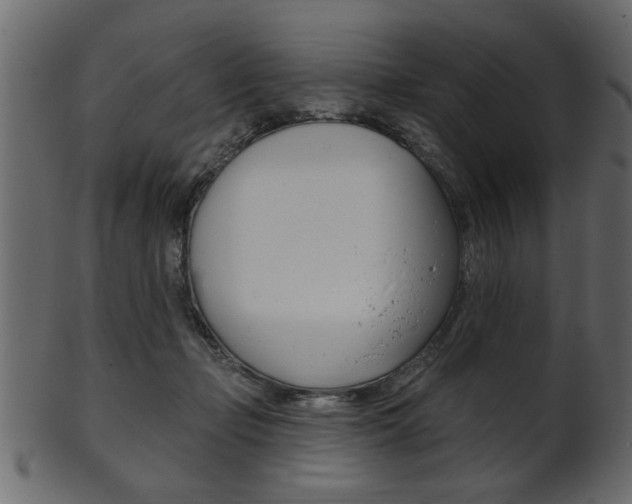 X0000102020365200807180948