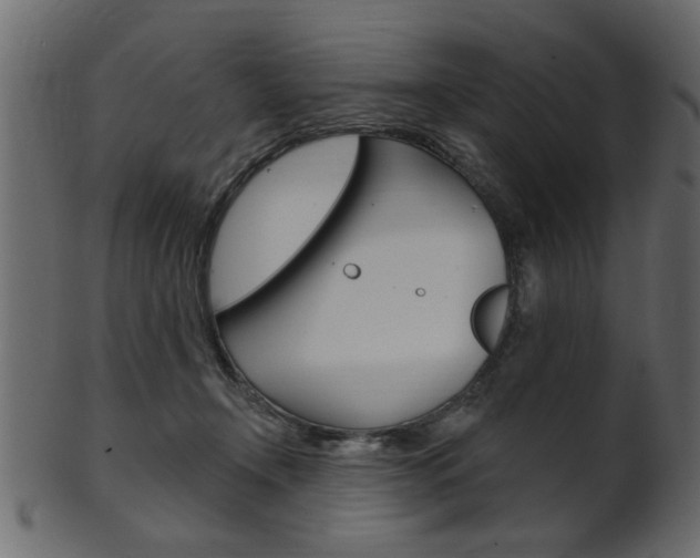 X0000102020366200807180948