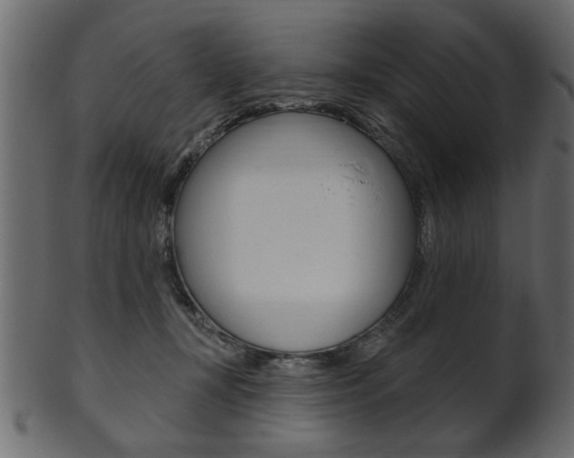 X0000102020367200807180948
