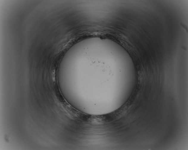 X0000102020368200807180948