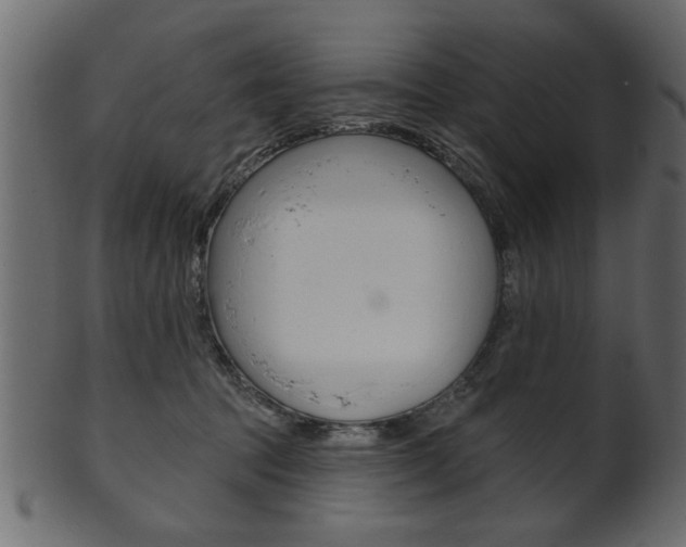 X0000102020369200807180948