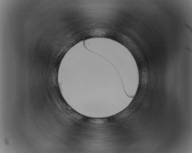 X0000102020370200807180948