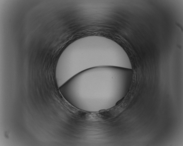 X0000102020372200807180948