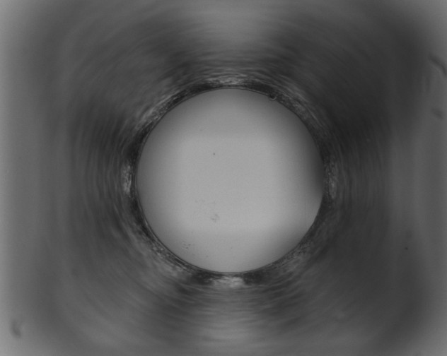 X0000102020374200807180948