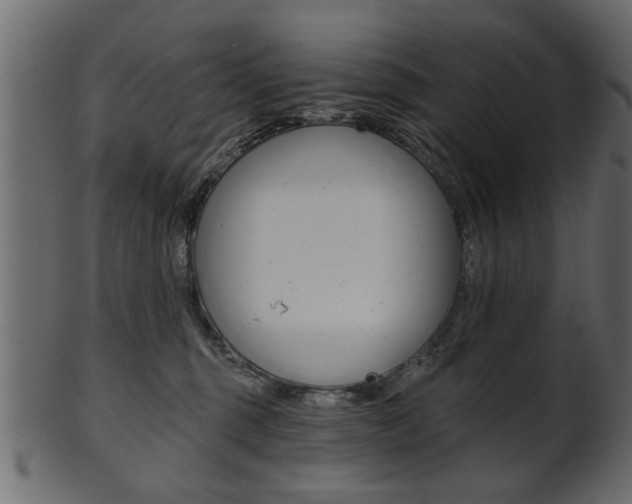 X0000102020375200807180948