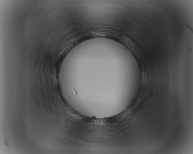 X0000102020377200807180948