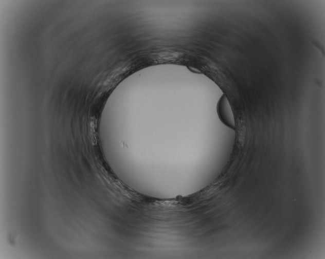 X0000102020378200807180948