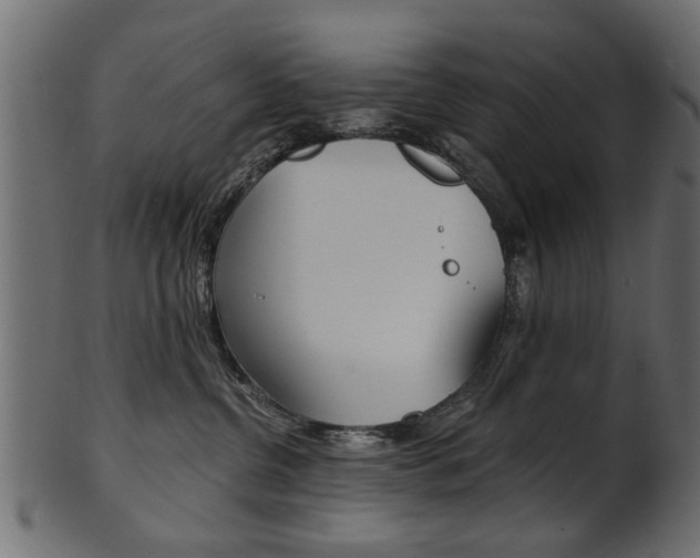 X0000102020380200807180948