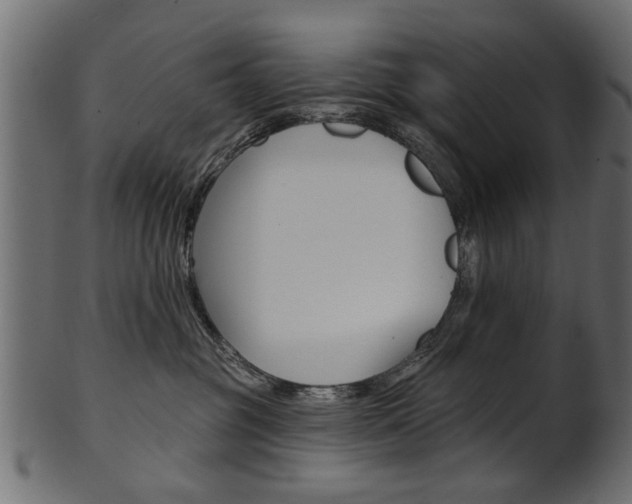 X0000102020381200807180948