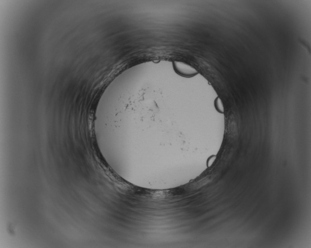 X0000102020382200807180949
