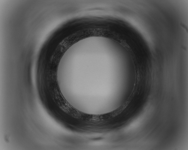 X0000102020383200807180949