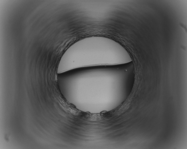 X0000102020384200807180949