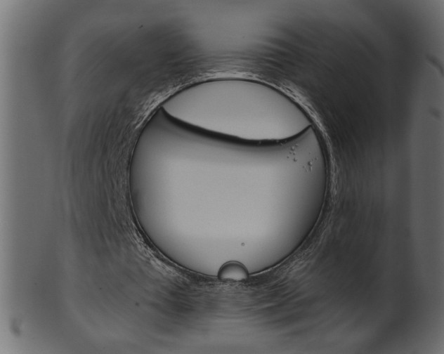X0000102020385200807180948