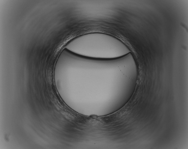 X0000102020386200807180948