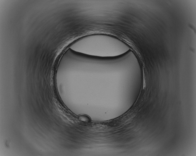 X0000102020387200807180948
