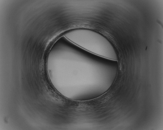X0000102020388200807180948