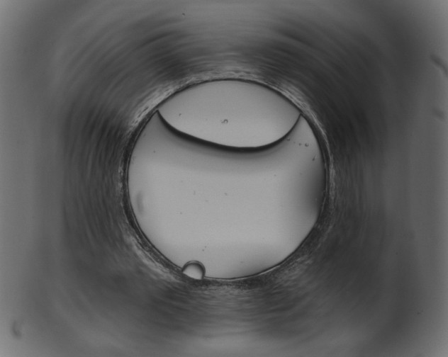 X0000102020389200807180948