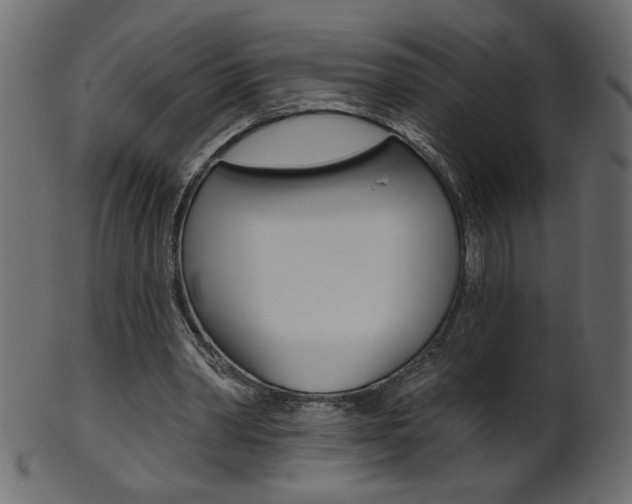 X0000102020390200807180948