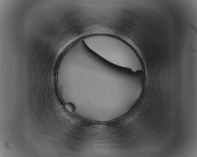 X0000102020391200807180948