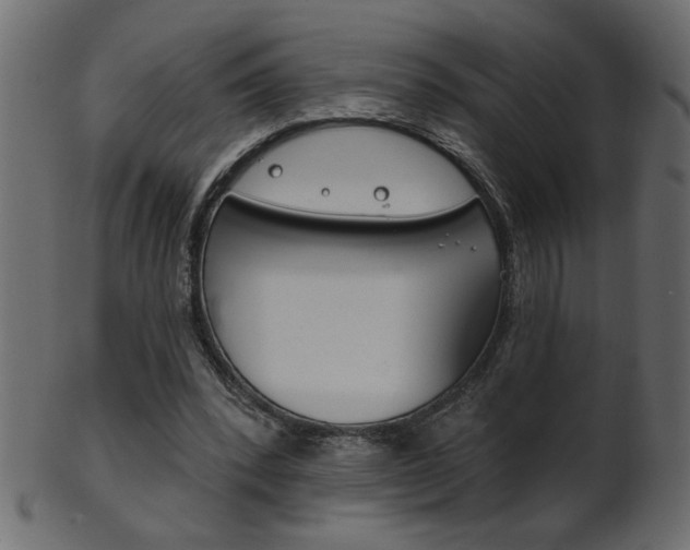 X0000102020392200807180948